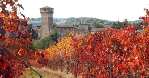 Tra natura e arte nella collina modenese @ Modena